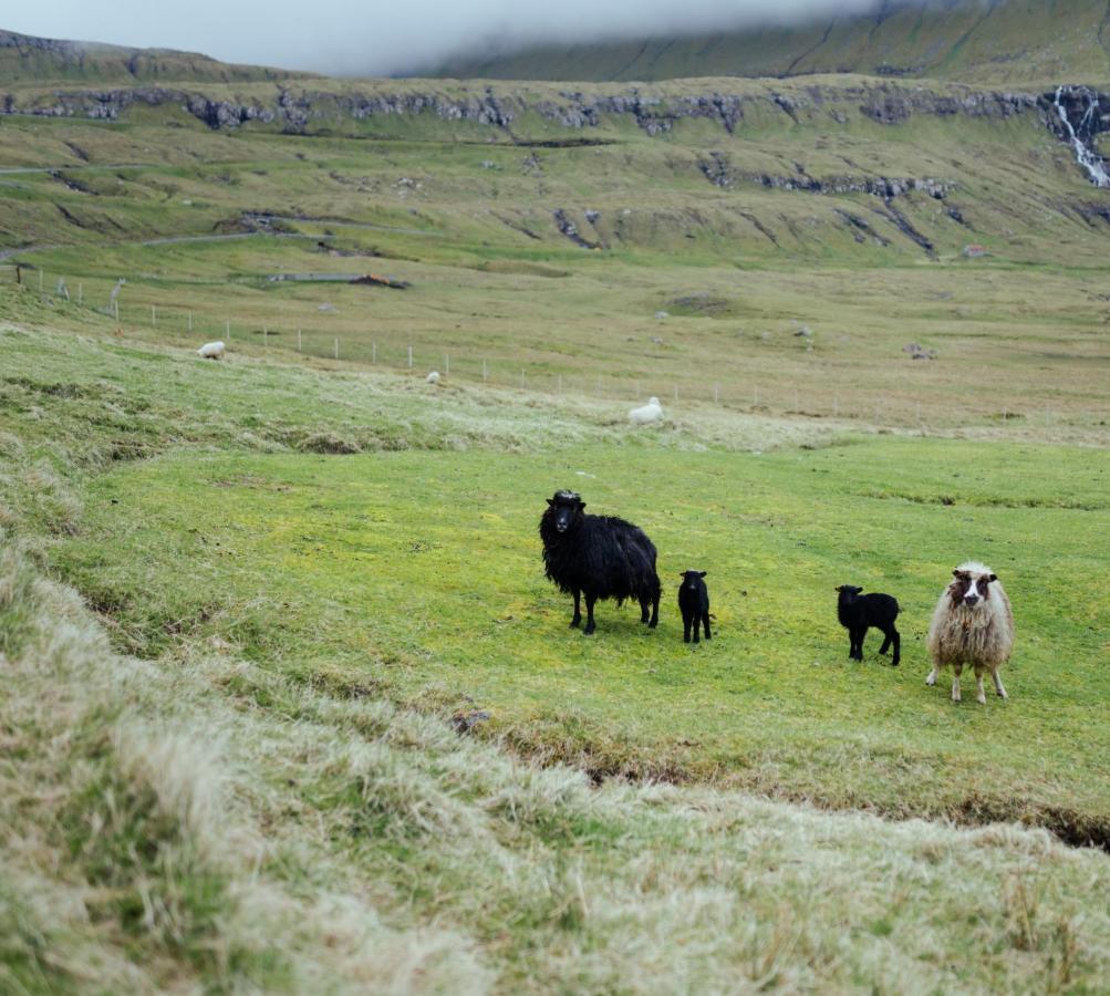 Authentic Faroese House / Unique Location / Nature Hellurnar Luaran gambar